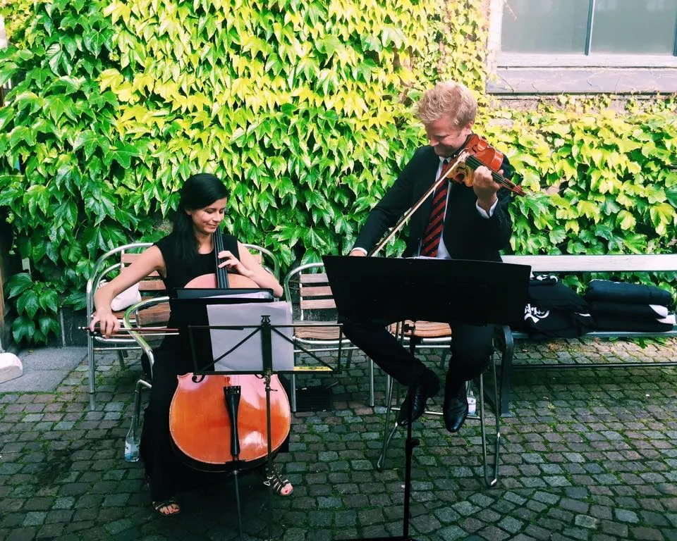 Violin på en sommerdag